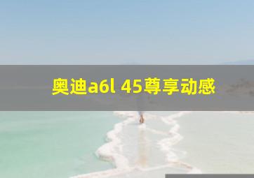 奥迪a6l 45尊享动感